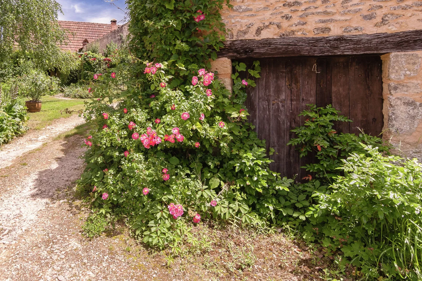 La Fermette-Gebieden zomer 1km