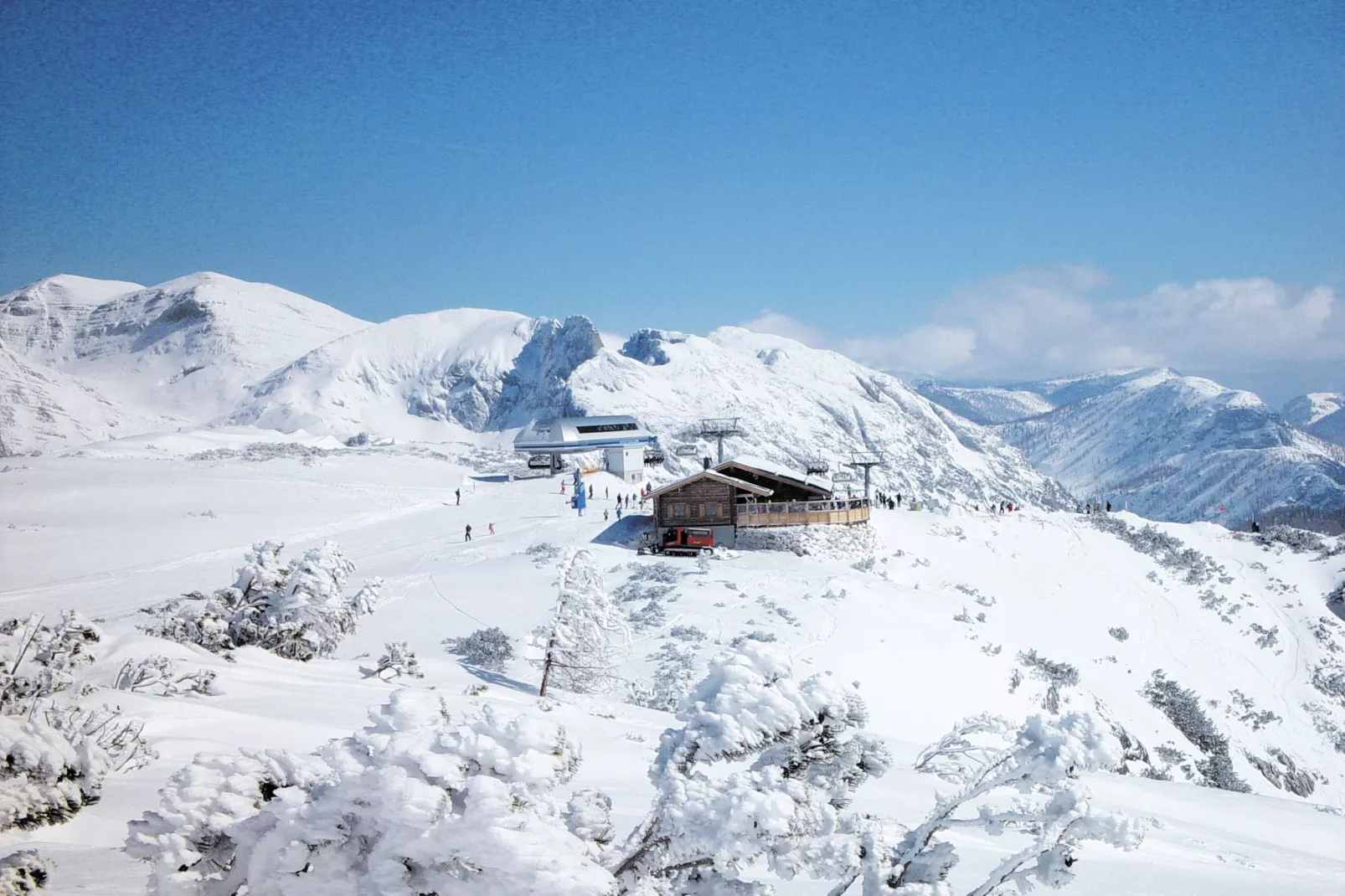 Alpenroos-Gebied winter 1km