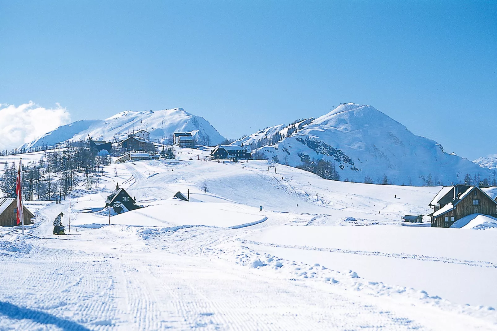 Alpenroos-Gebied winter 5km