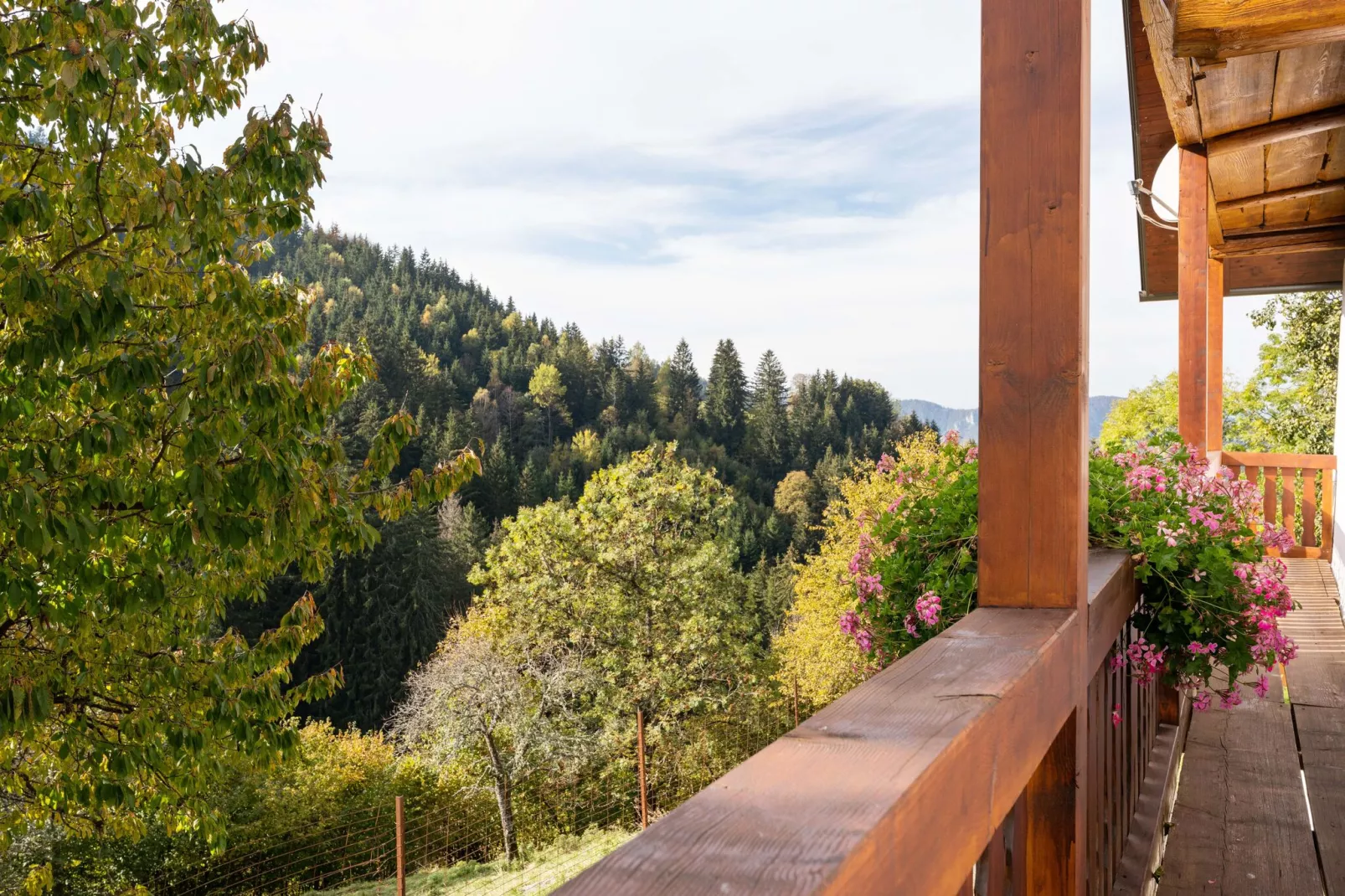 Zois Hütte-Terrasbalkon