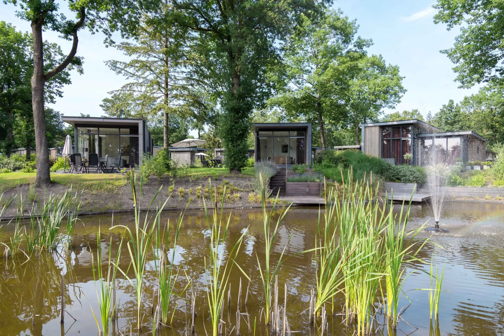 Landgoed De Scheleberg 7-Buitenkant zomer