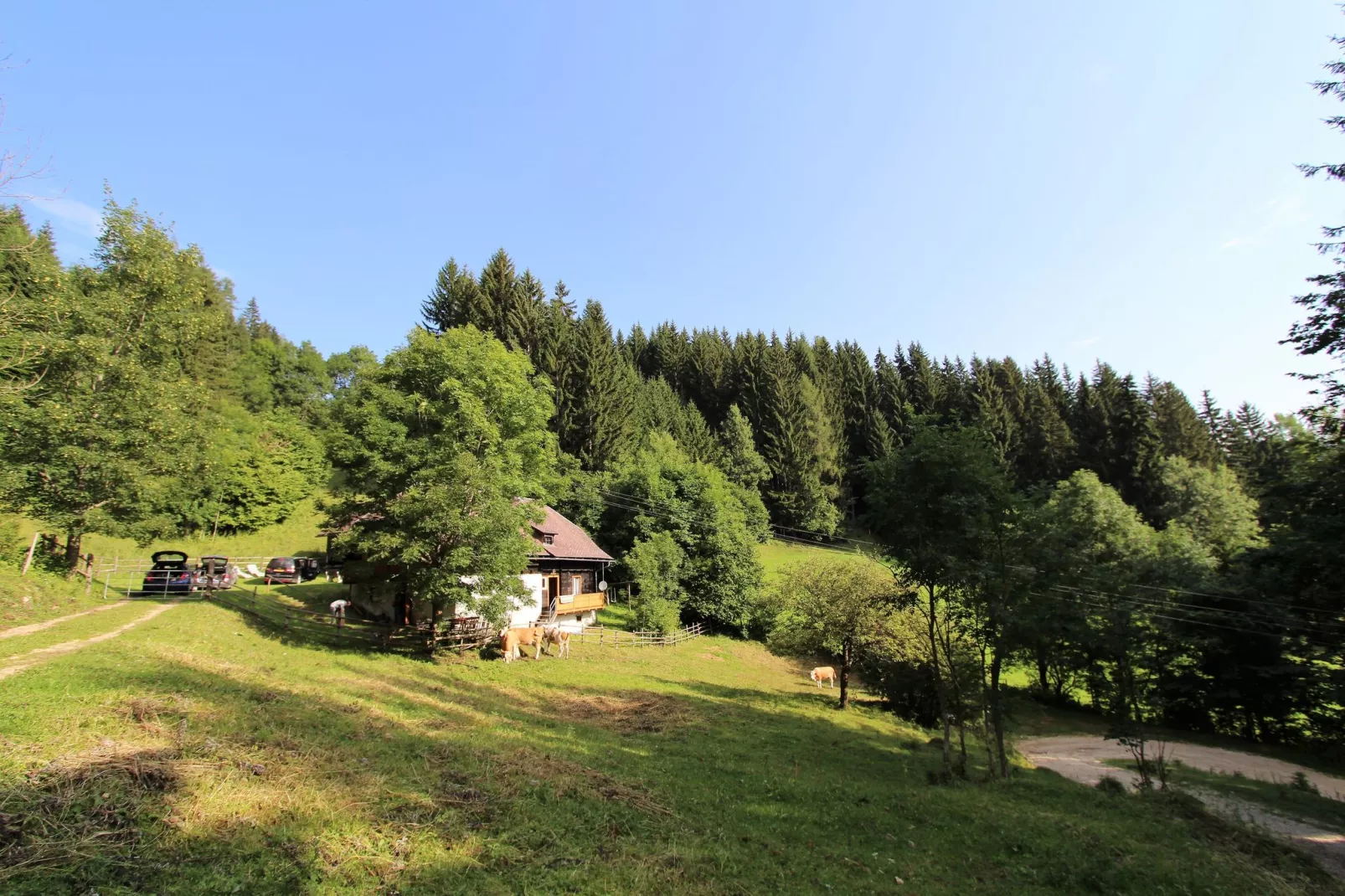 Brentlhütte-Gebieden zomer 1km