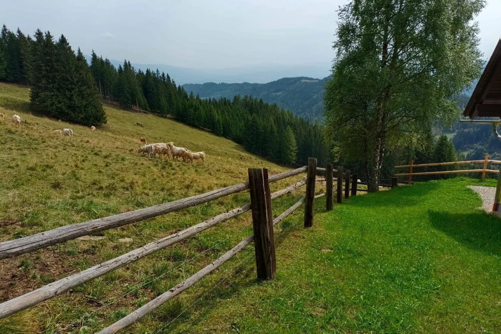 Graslerhütte-Buitenkant zomer