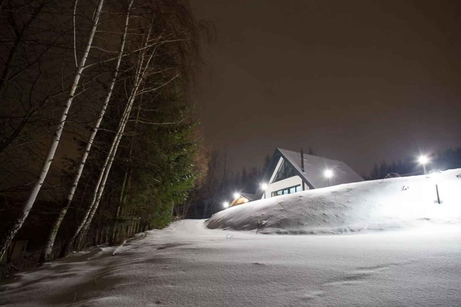 Domek na Wzgórzu-Exterieur winter