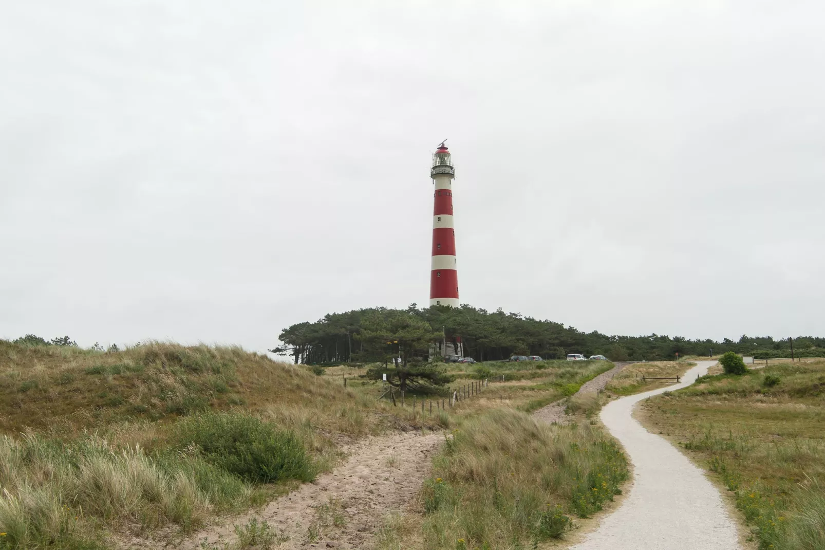 Sea Lodges Ameland 2-Gebieden zomer 1km