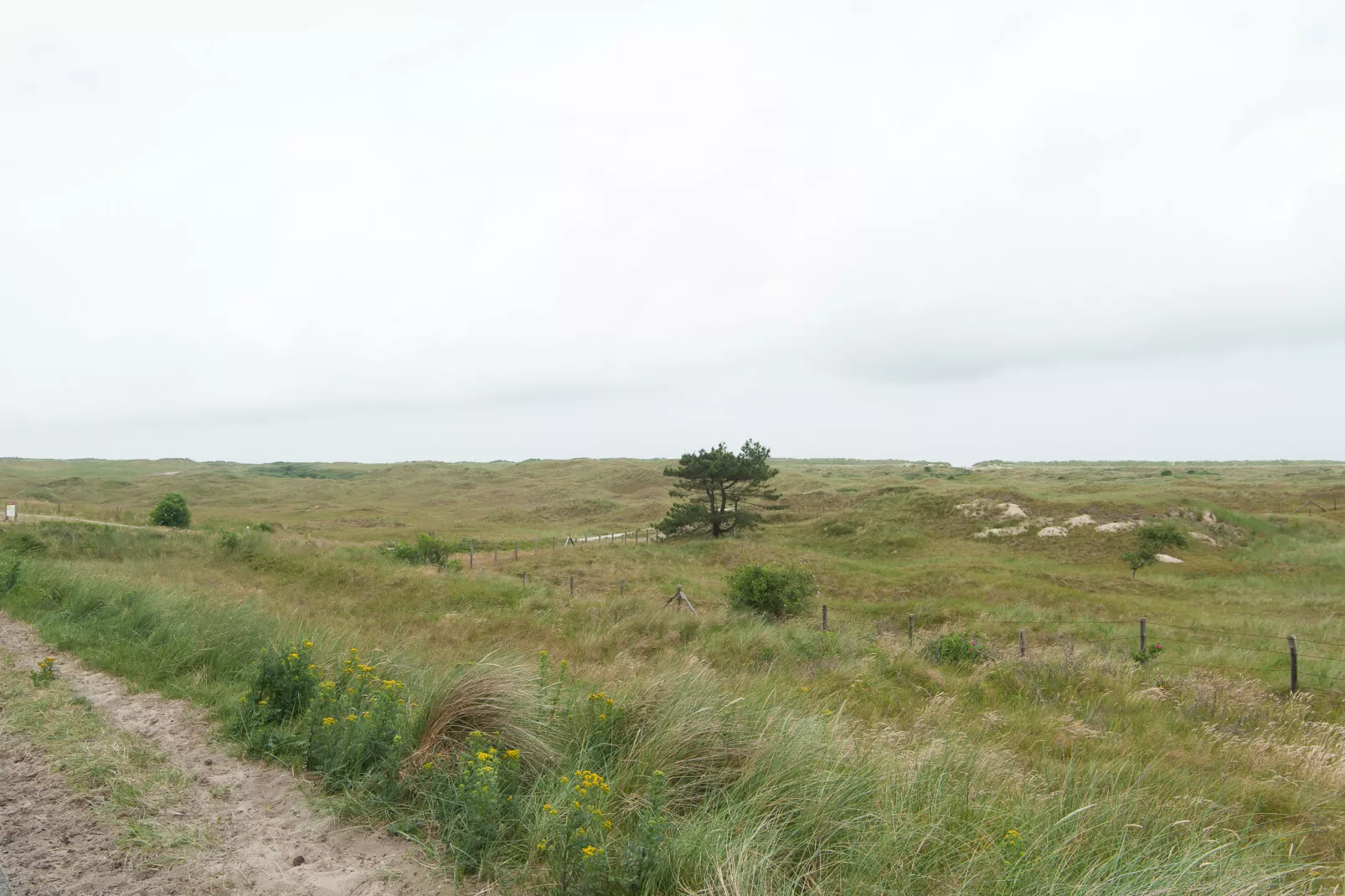 Sea Lodges Ameland 2-Gebieden zomer 1km