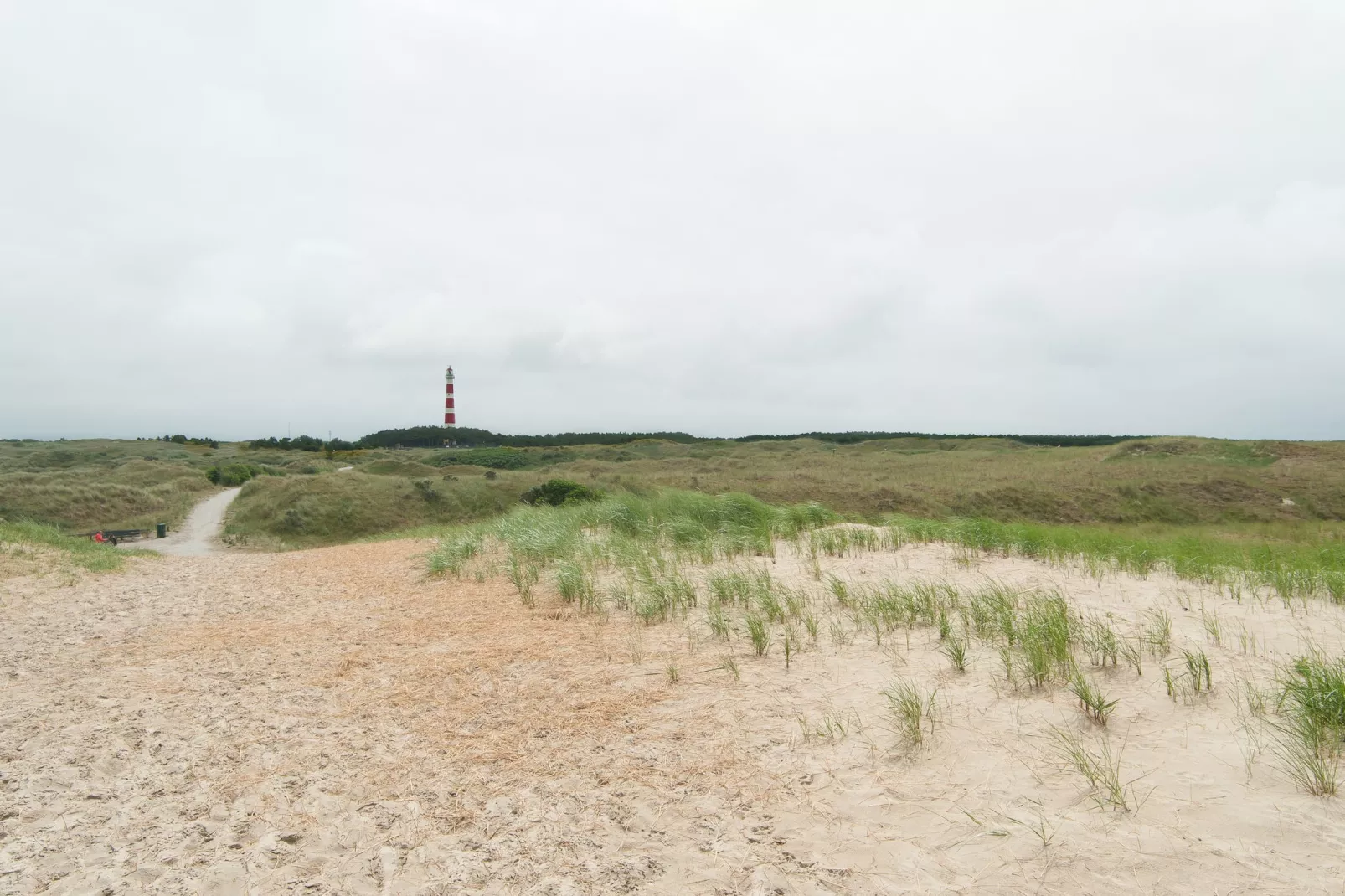 Sea Lodges Ameland 3-Gebieden zomer 1km