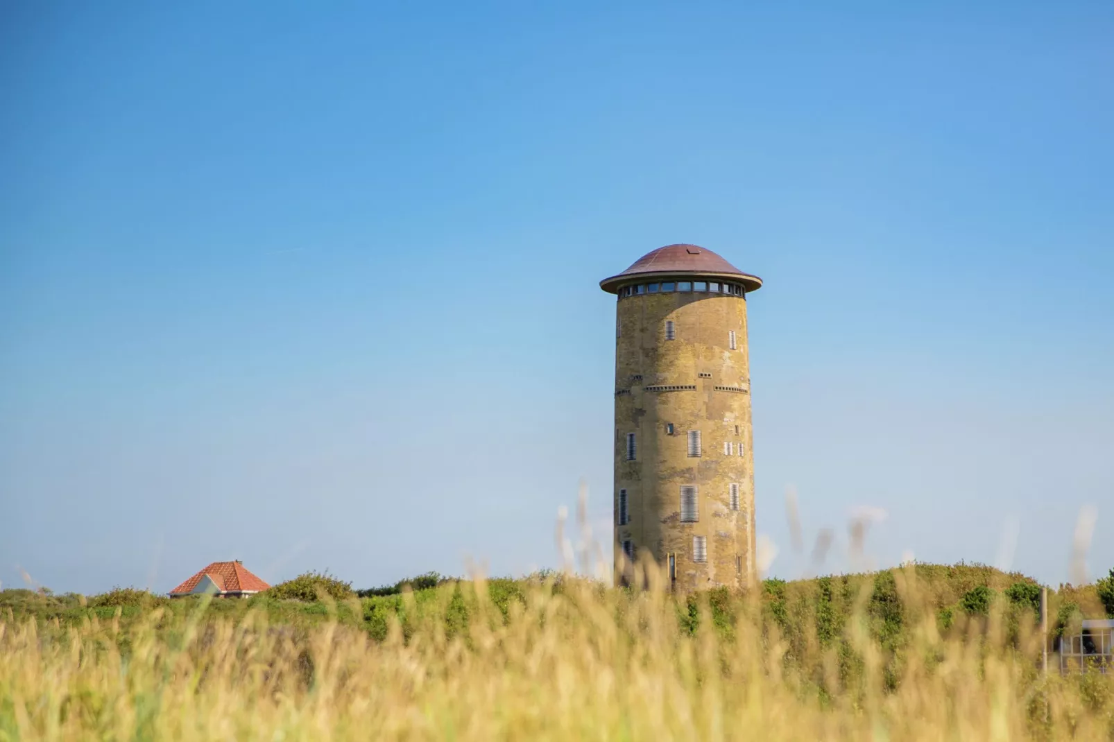 Vakantiepark Hof Domburg 19-Gebieden zomer 5km