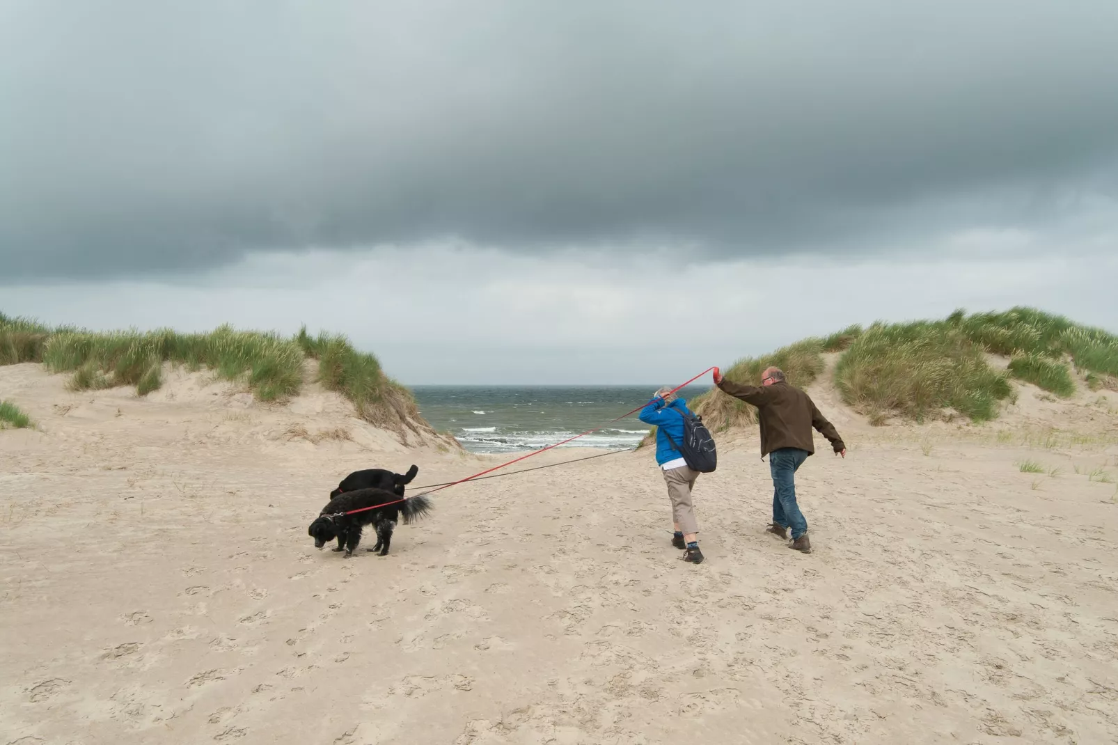 Sea Lodges Ameland 4-Sfeer