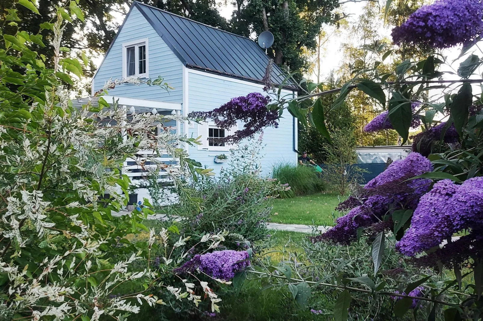 Ferienhaus in Nowe Warpno UTR-Tuinen zomer