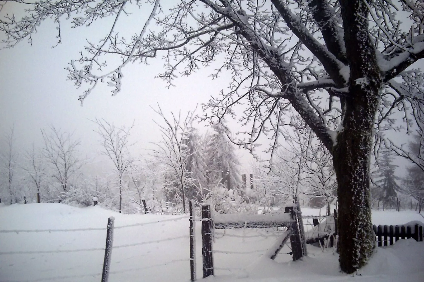 Hardebusch-Gebied winter 1km