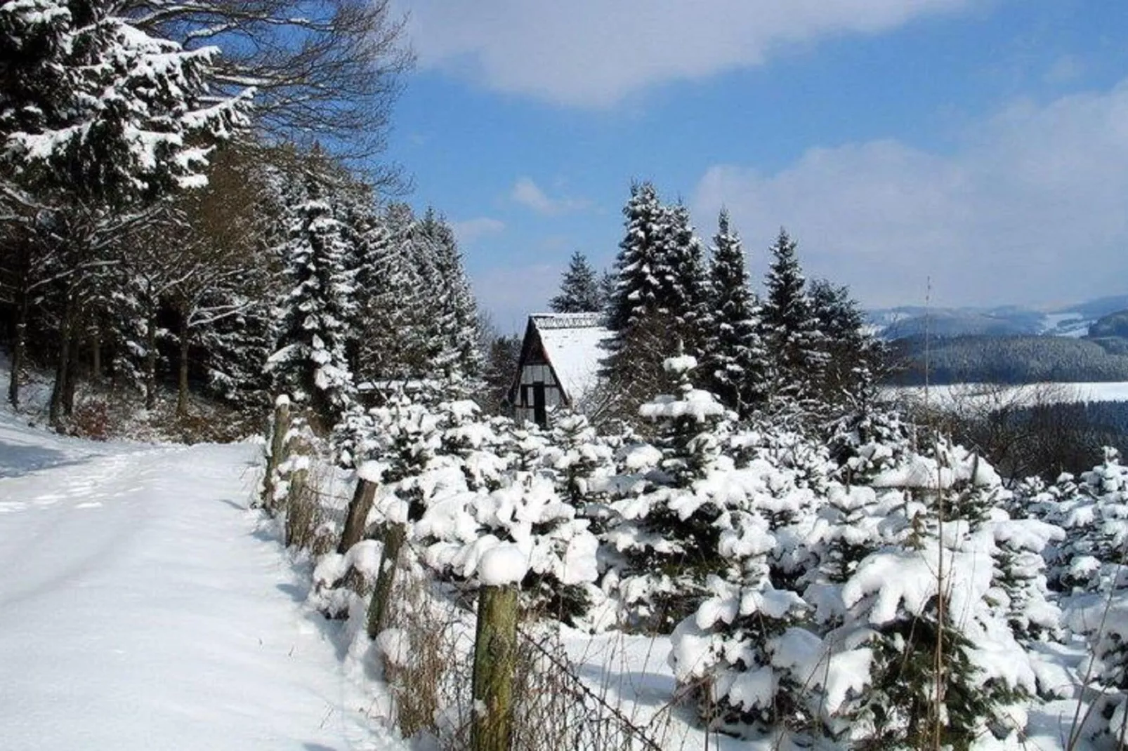 Hardebusch-Exterieur winter