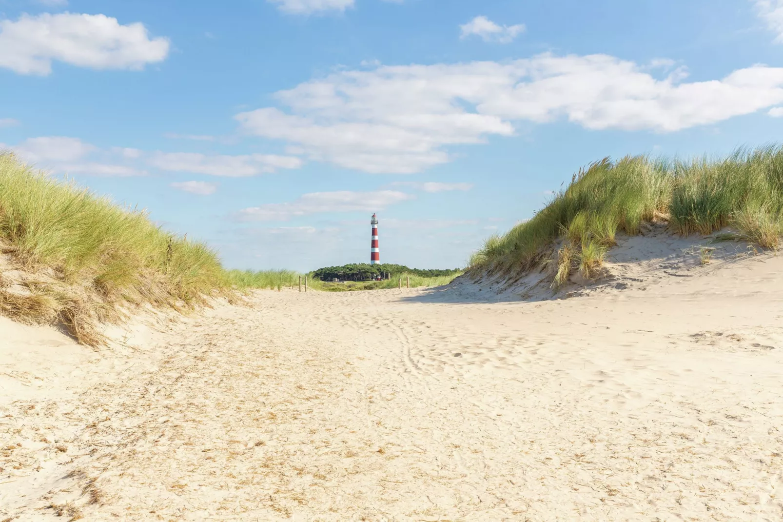 Vakantiepark Boomhiemke 13-Gebieden zomer 5km