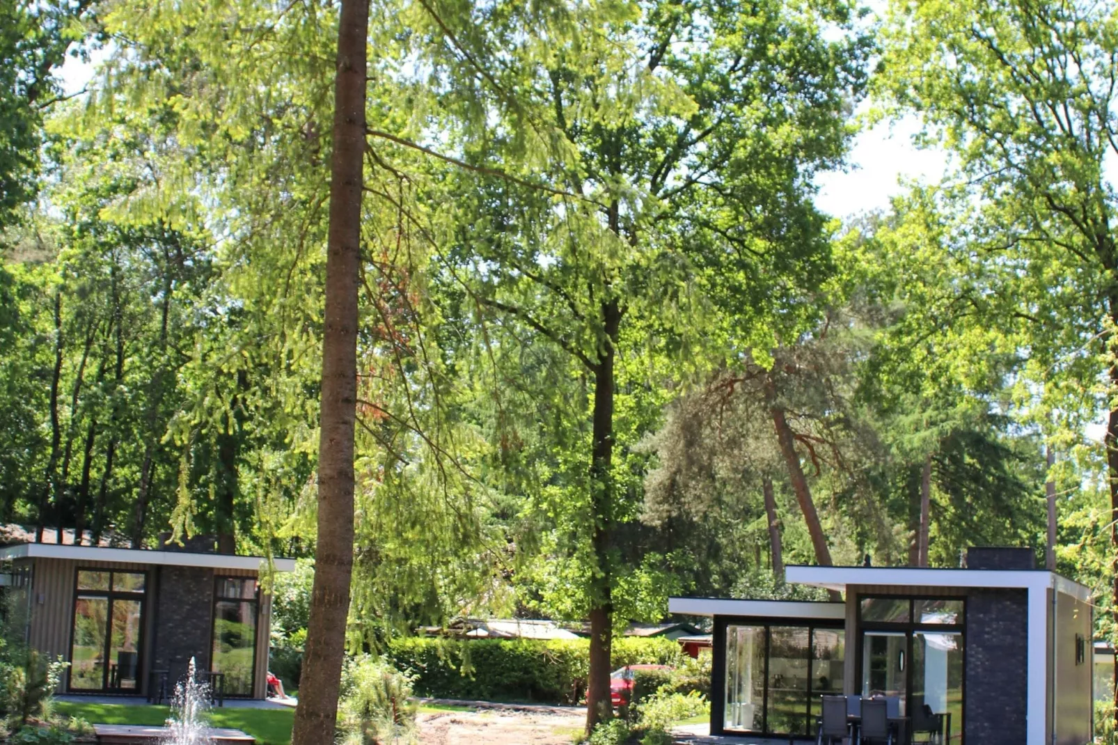 Vakantiepark De Rimboe & De Woeste Hoogte 22-Gebieden zomer 1km