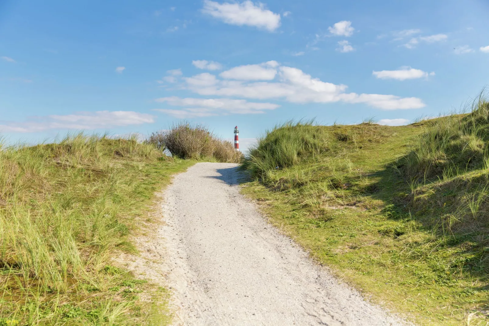 Vakantiepark Boomhiemke 14-Gebieden zomer 5km