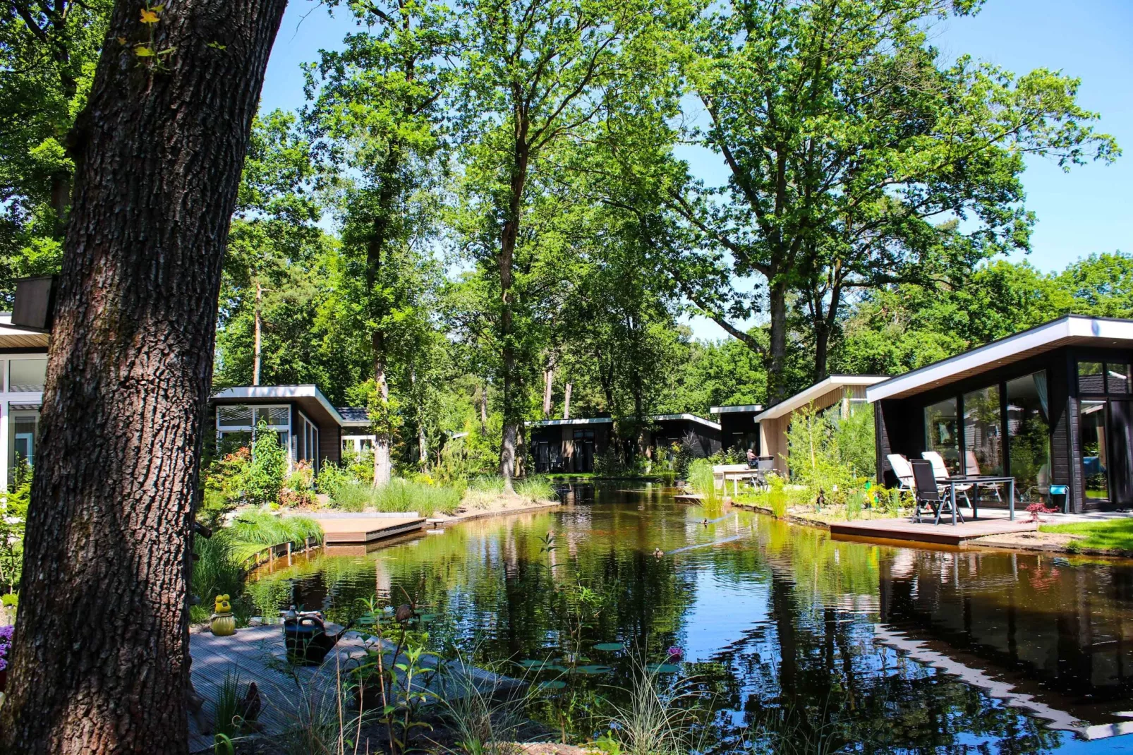 Vakantiepark De Rimboe & De Woeste Hoogte 22-Gebieden zomer 1km