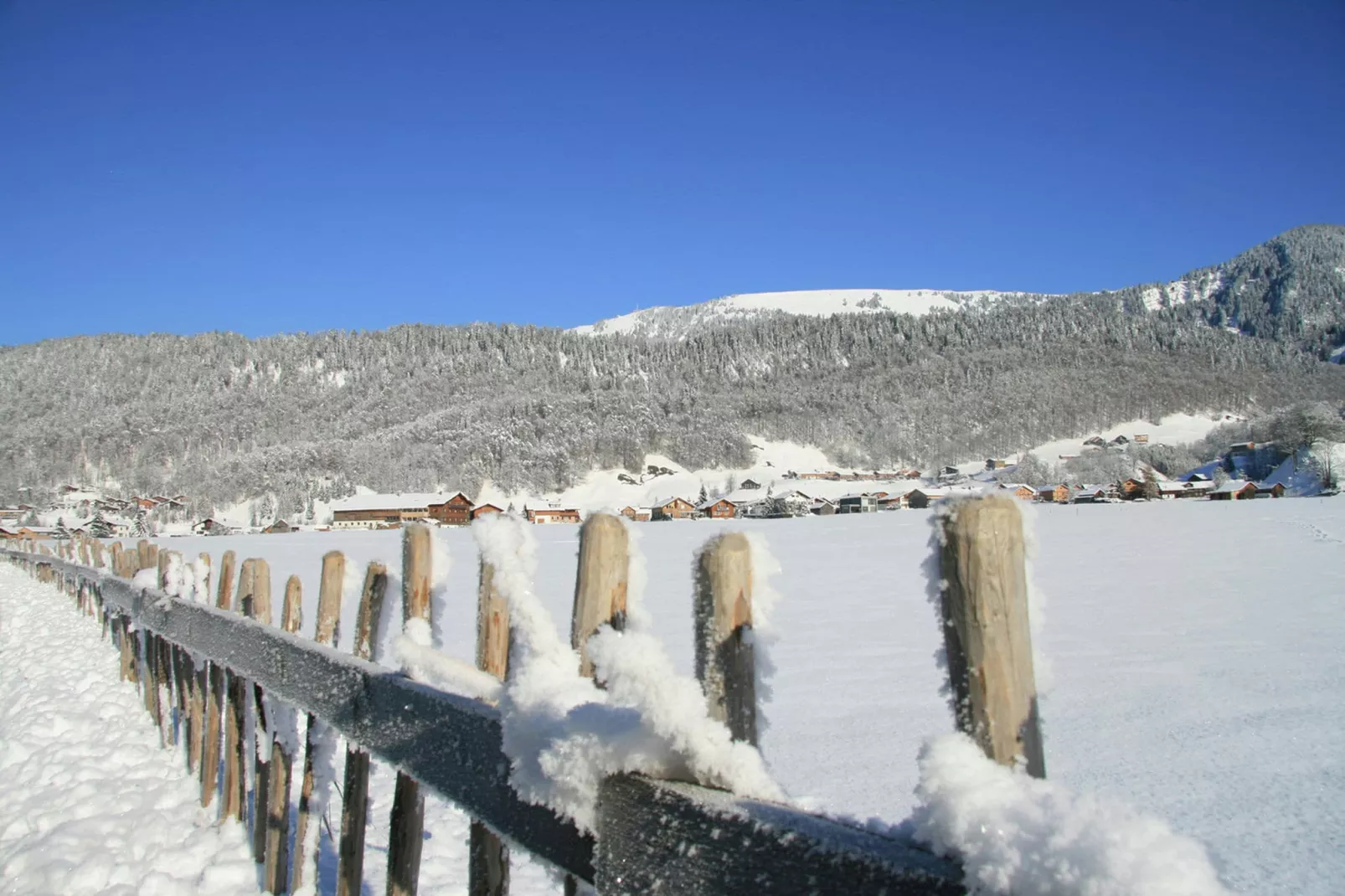 Chalet Steffko-Gebied winter 5km