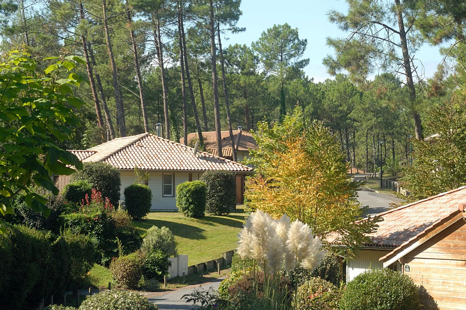 Villas Clairière aux Chevreuils 1-Gebieden zomer 1km