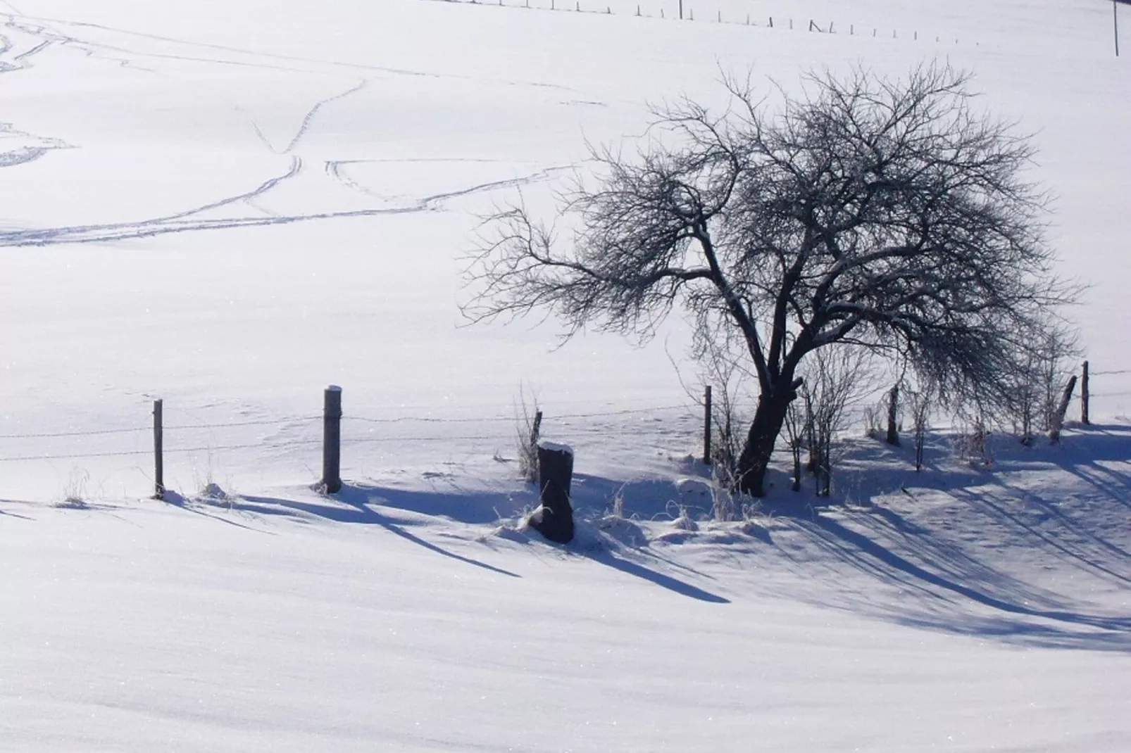 Hunau II-Gebied winter 1km