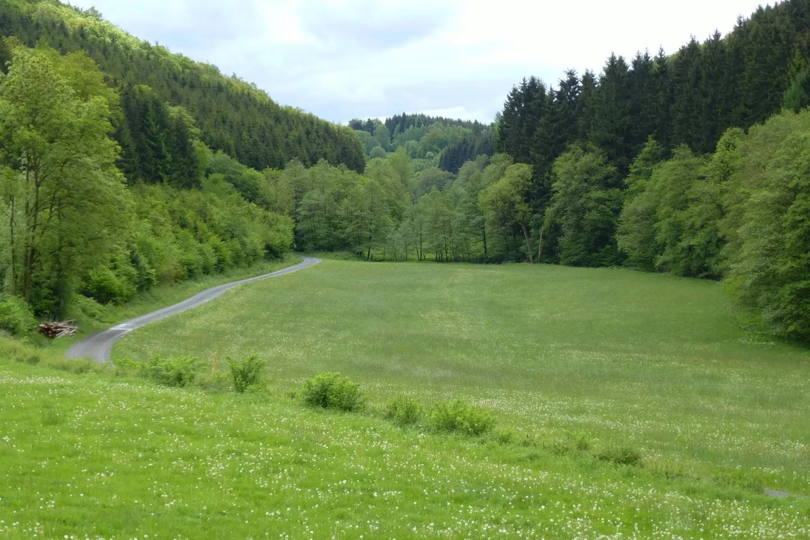 Hunau II-Gebieden zomer 1km