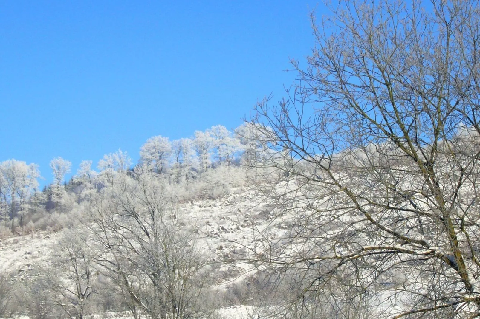 Wilzenberg I-Gebied winter 20km