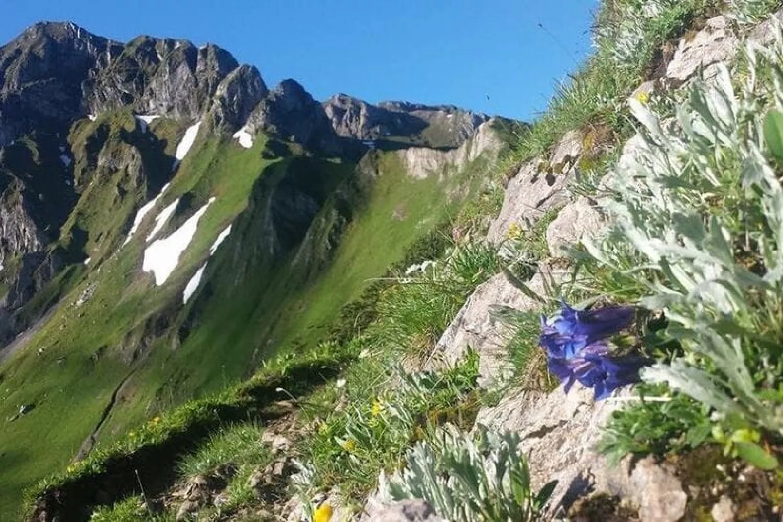 Hüttendorf Praebichl-Gebieden zomer 5km