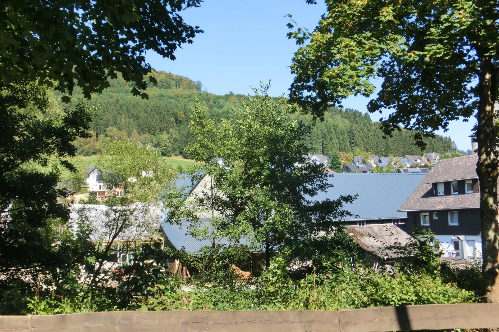 Wilzenberg-Uitzicht zomer