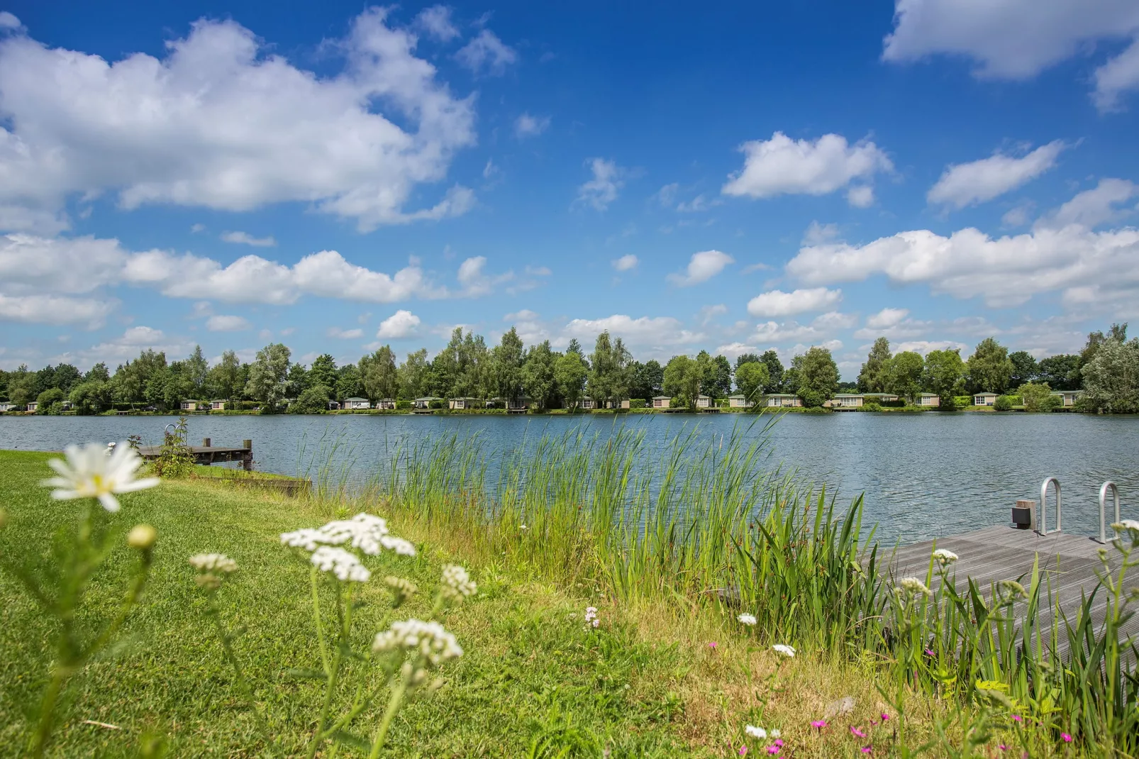 Recreatiepark Tolplas 1-Parkfaciliteiten