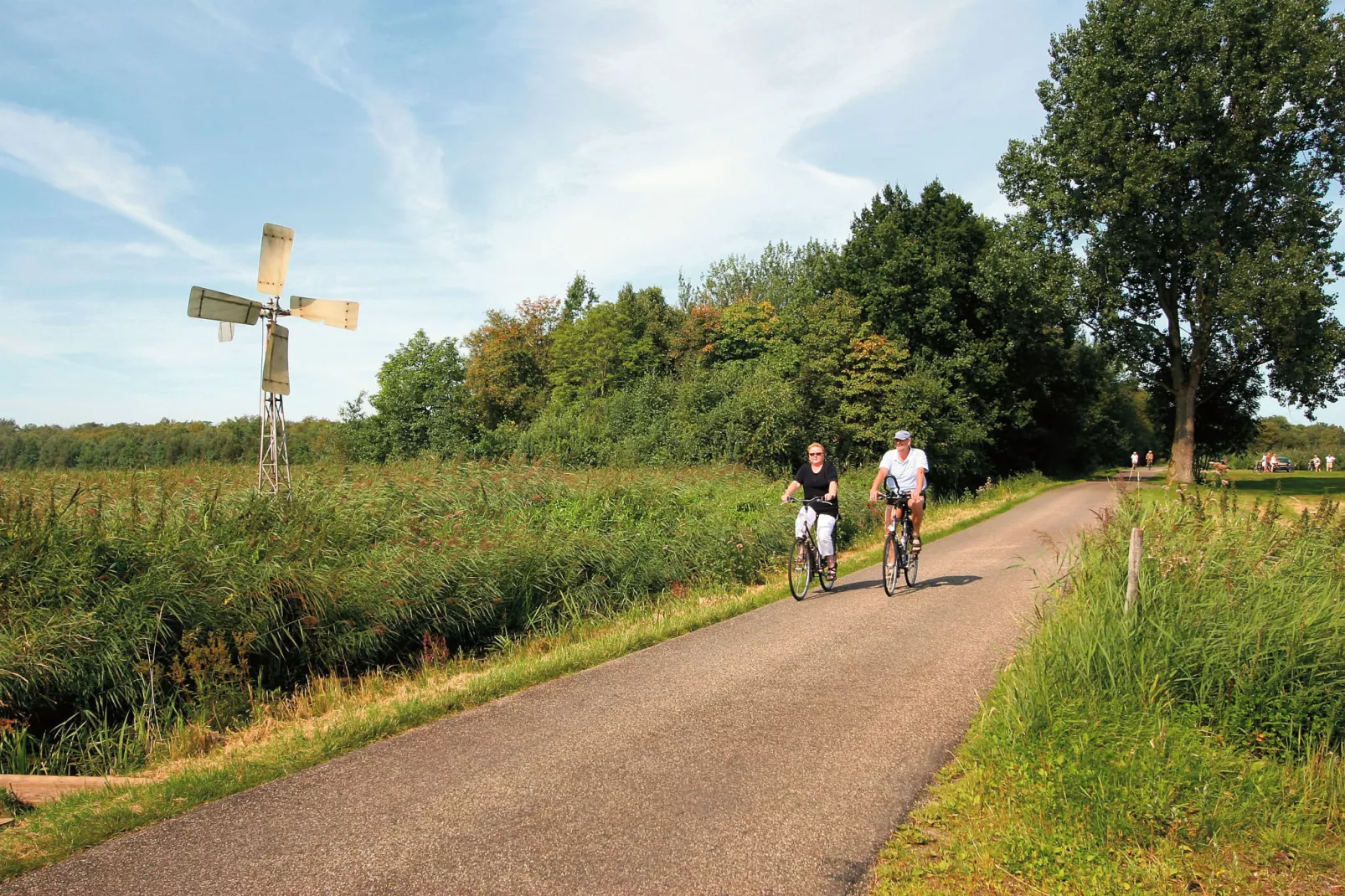 Recreatiepark Tolplas 1-Gebieden zomer 5km