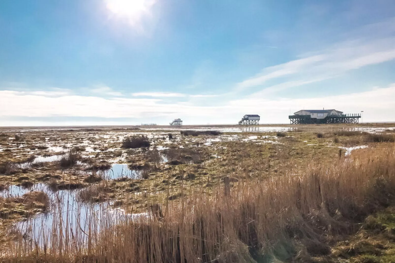 Ferienwohnung FriesennestSPO St Peter-Ording