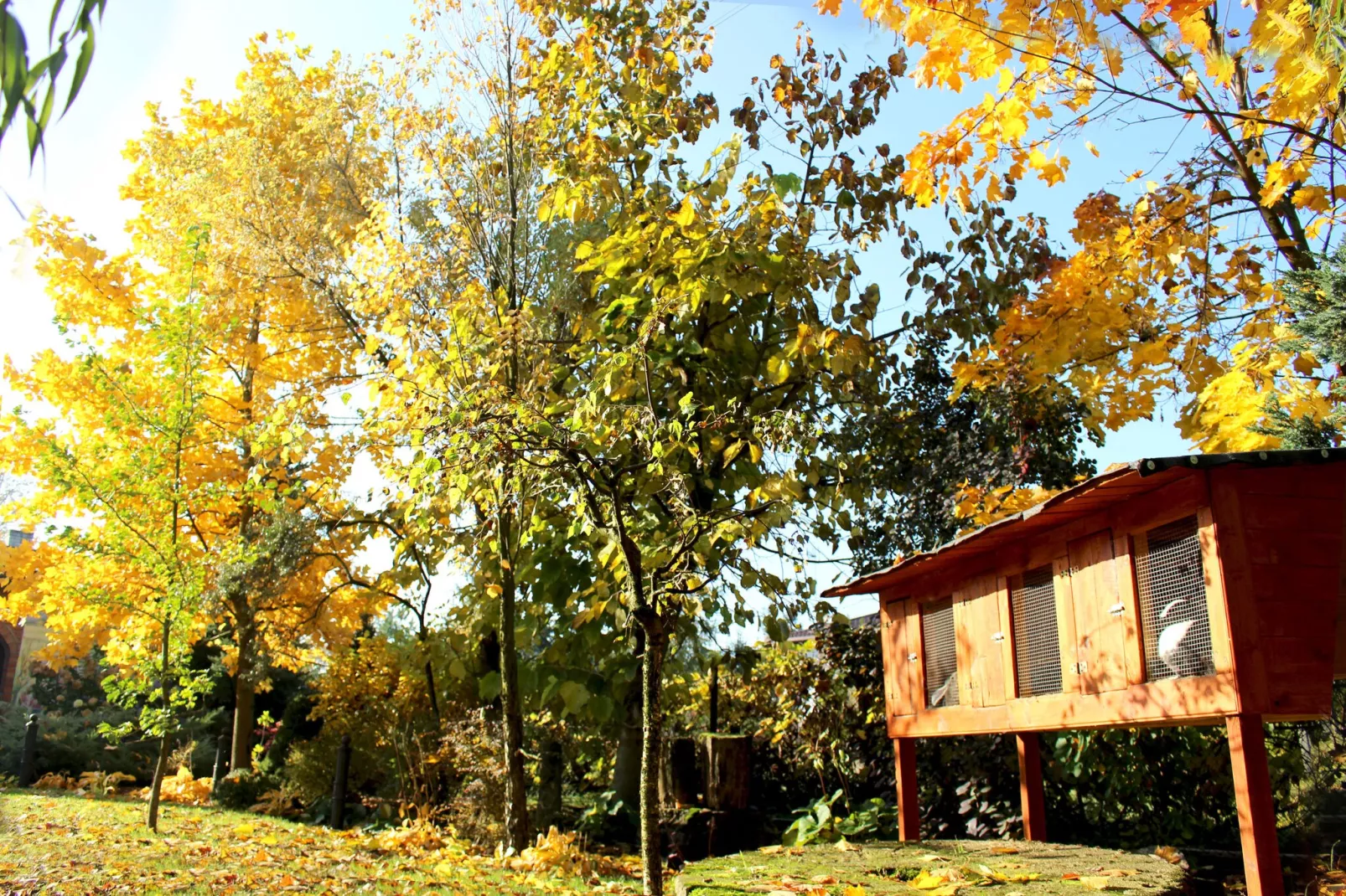 A modern holiday home-Tuinen zomer