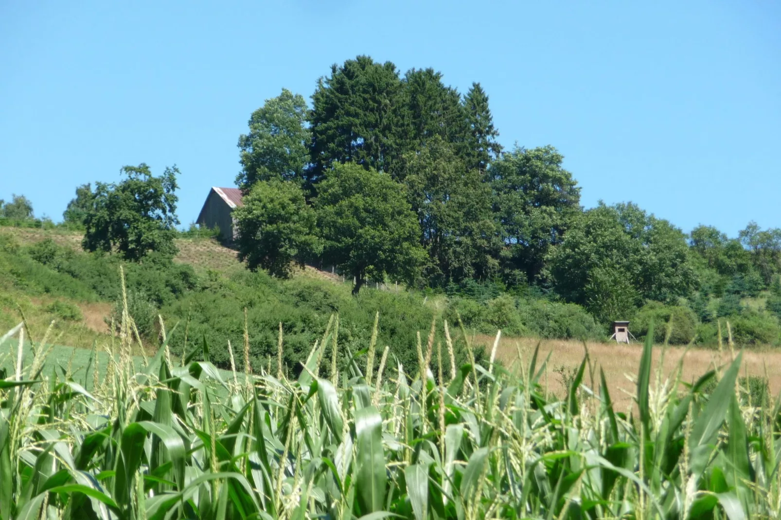 Eslohe-Gebieden zomer 5km