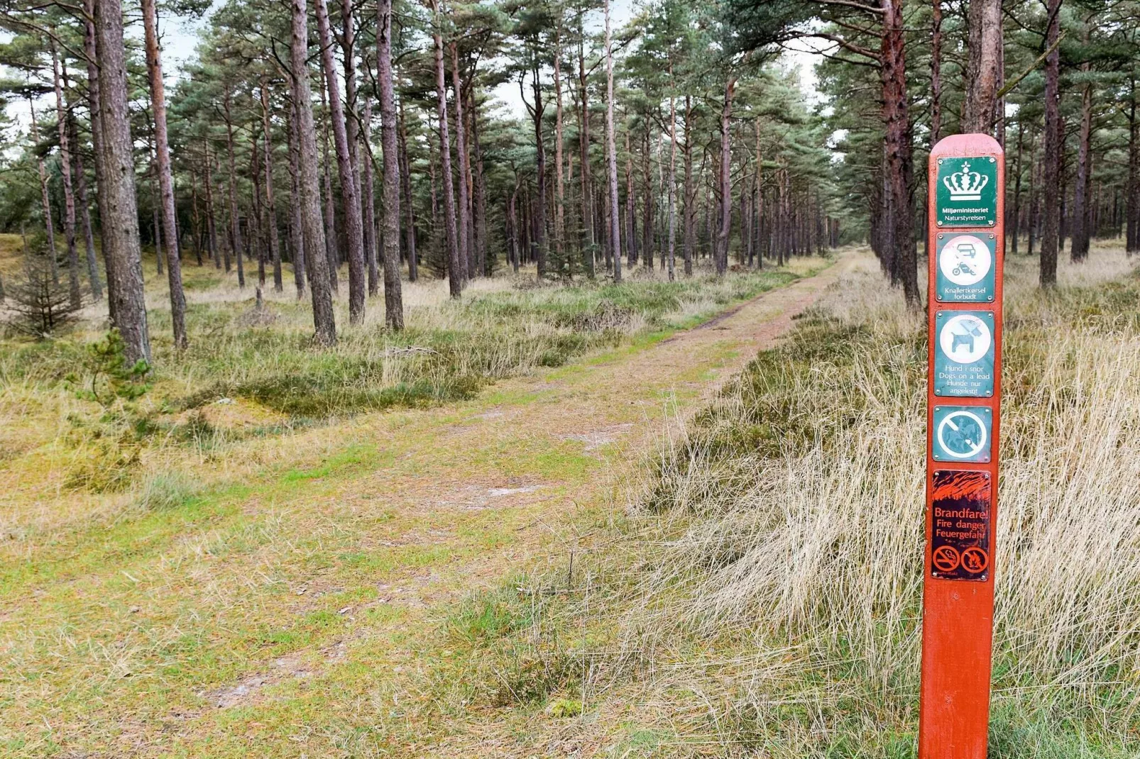 8 persoons vakantie huis in Blåvand-Uitzicht