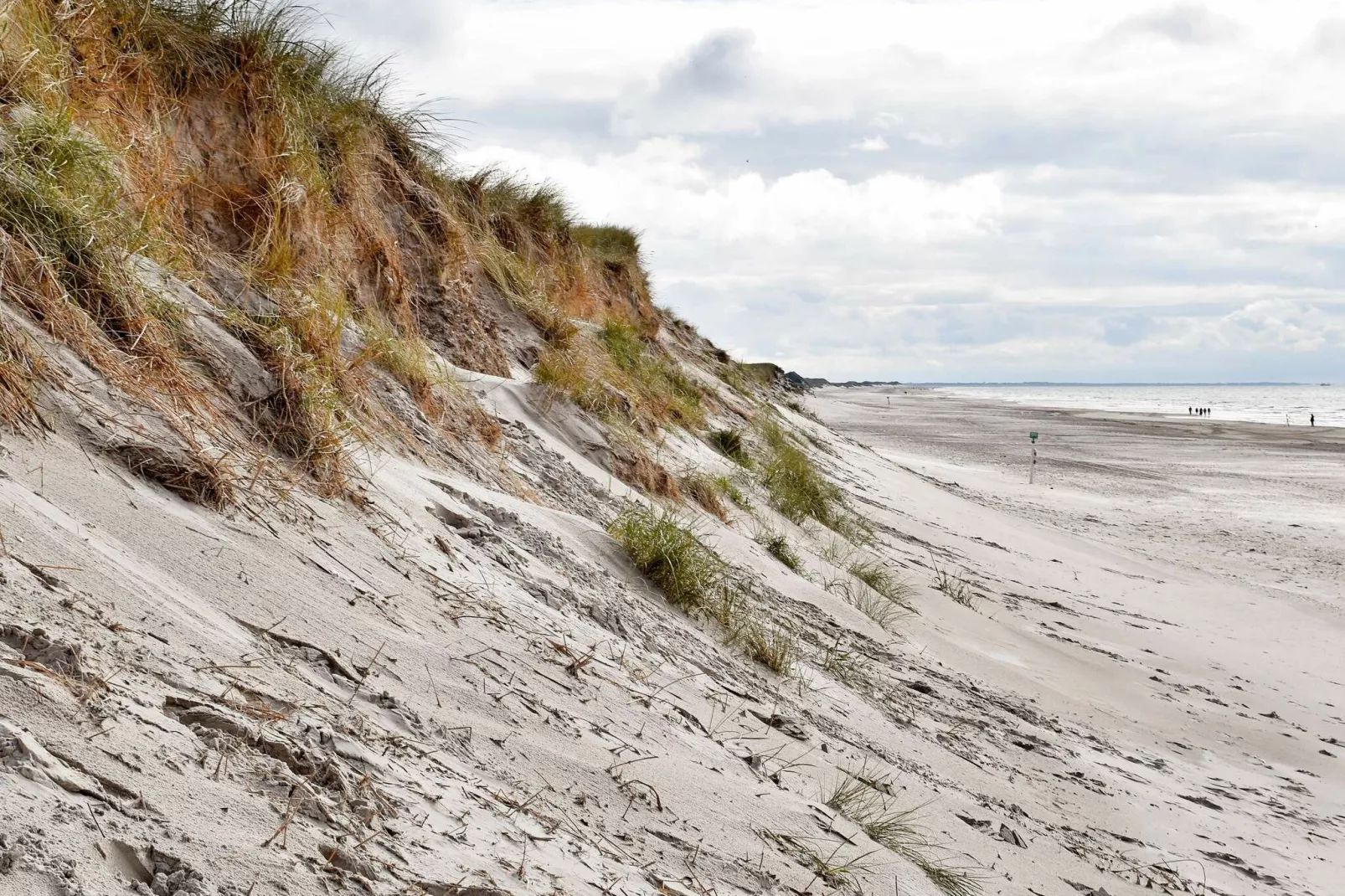 8 persoons vakantie huis in Blåvand-Uitzicht