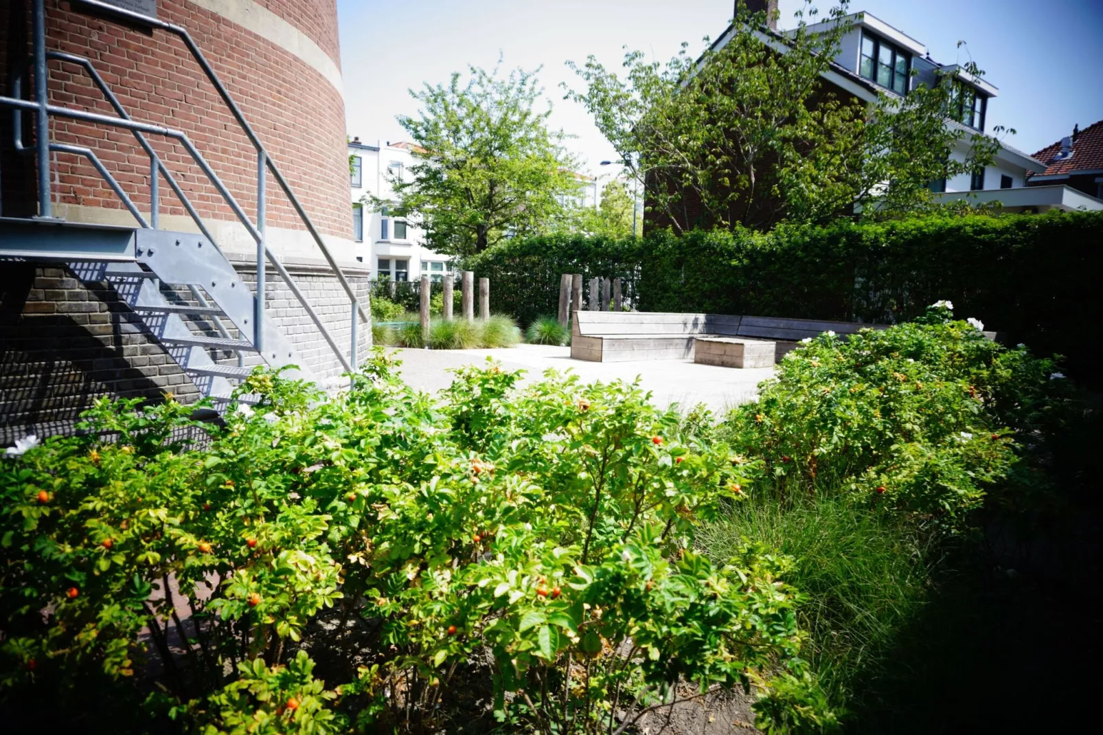 Familiehuis Watertoren 8 pers-Tuinen zomer