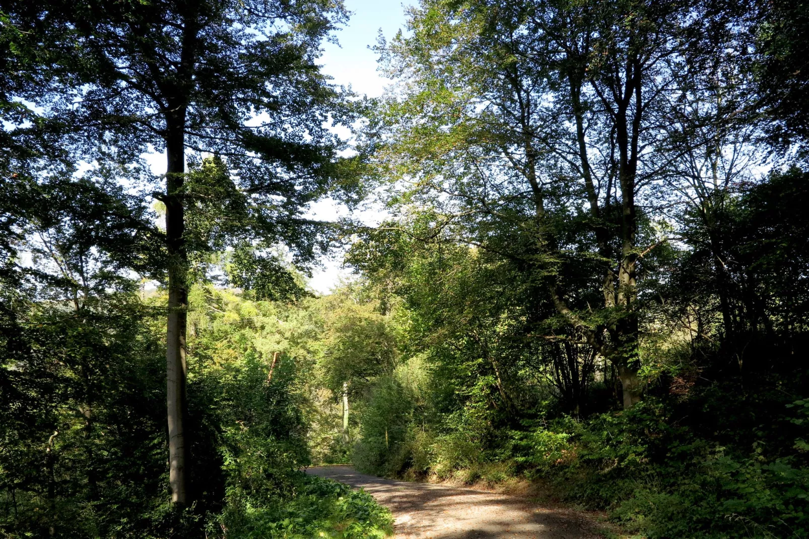 Weserbergland - Bad Pyrmont-Gebieden zomer 1km