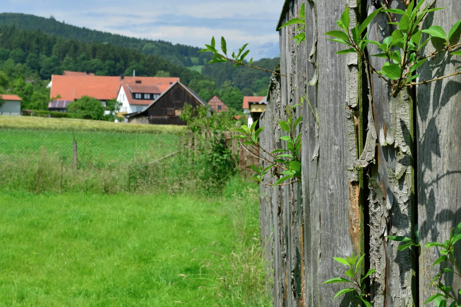 Sauerland - Diemelsee-Sfeer