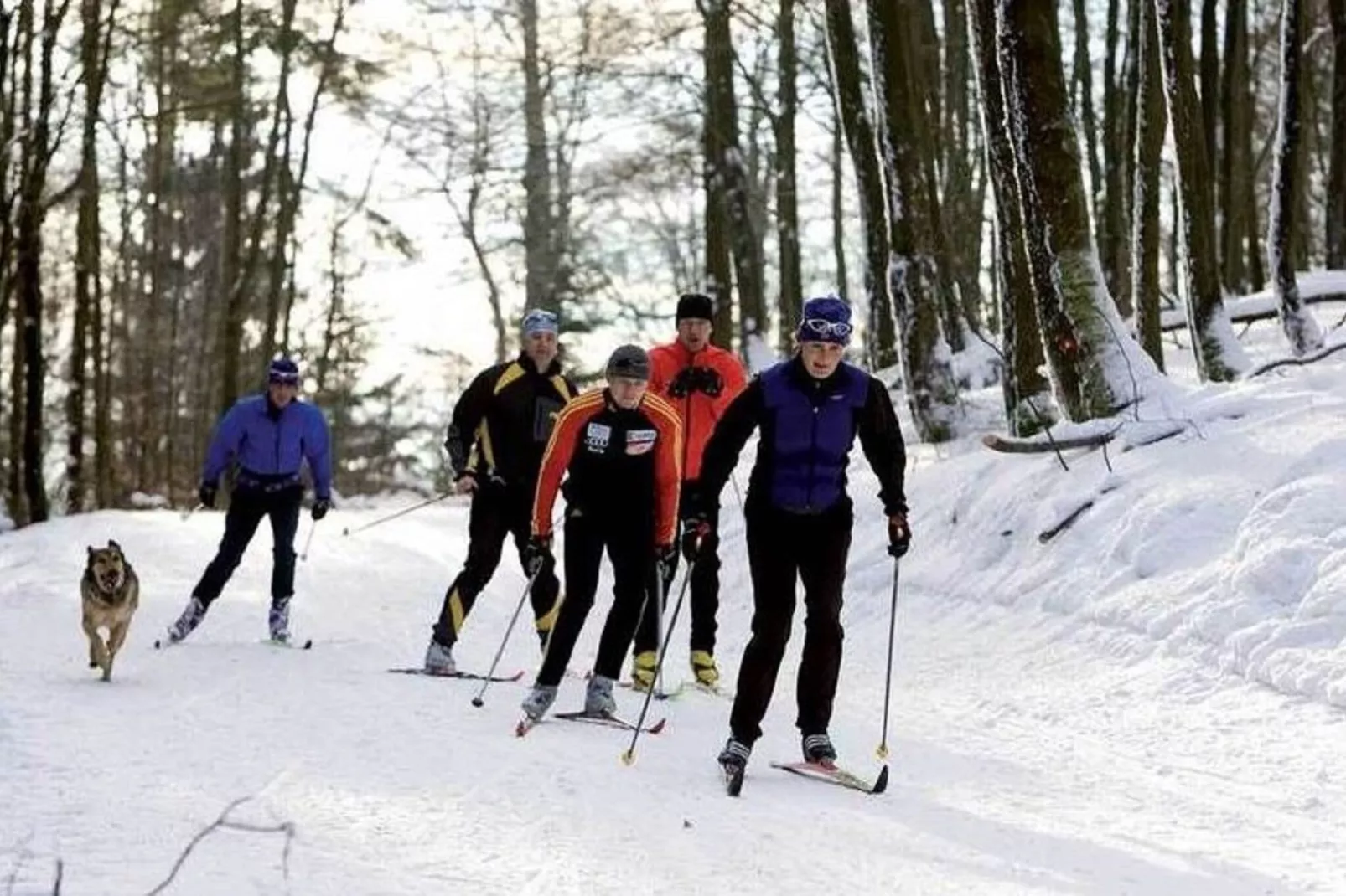 Sauerland - Diemelsee-Gebied winter 1km