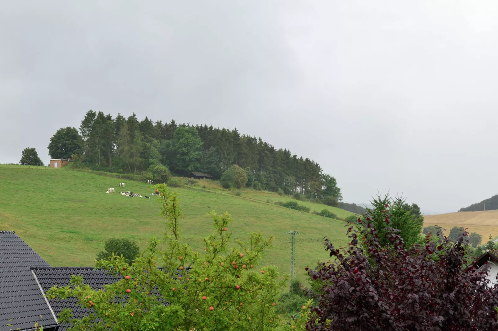 Ferienwohnung II Diemelsee-Uitzicht zomer