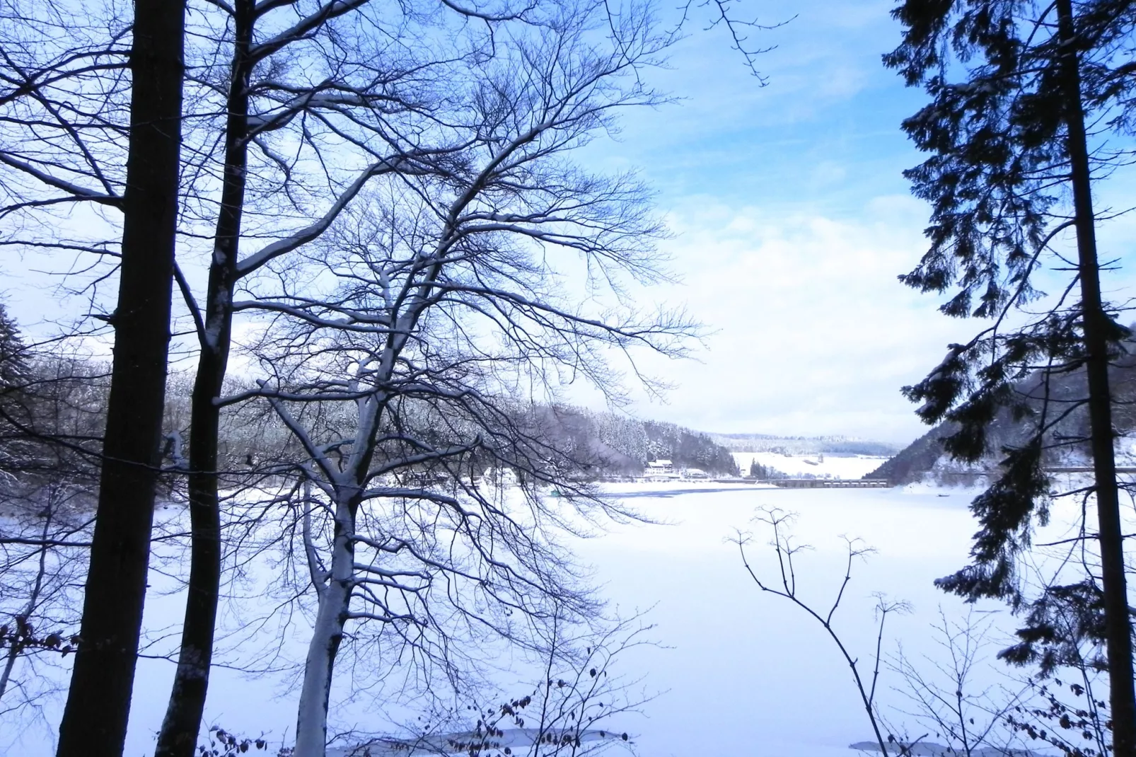 Ferienwohnung II Diemelsee-Gebied winter 5km