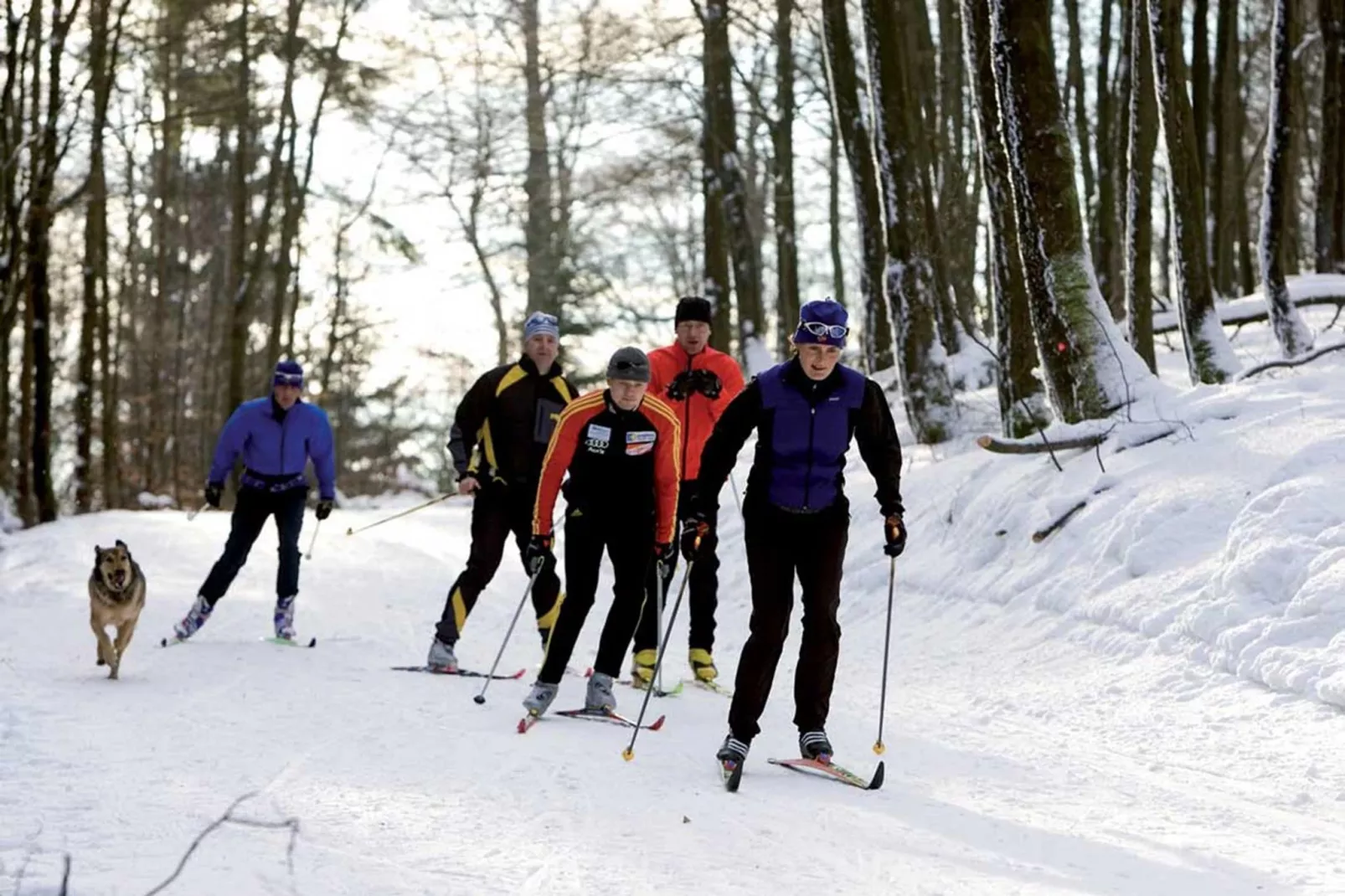 Ferienwohnung II Diemelsee-Gebied winter 20km