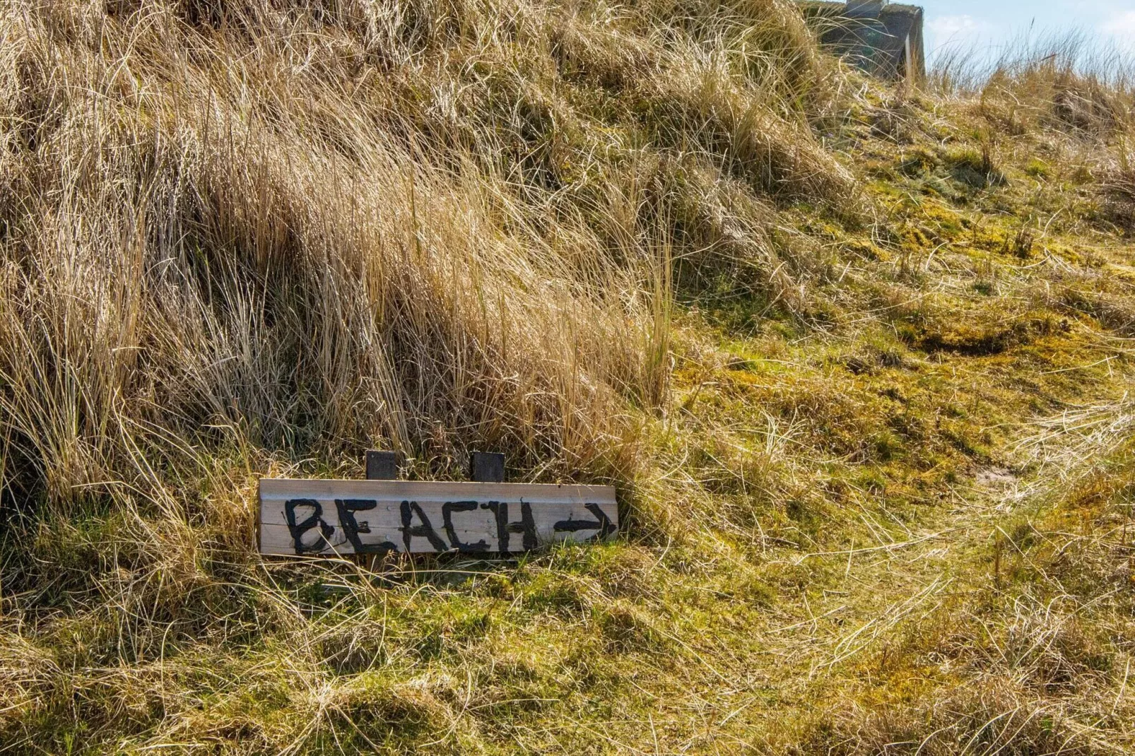 7 persoons vakantie huis in Fanø-Uitzicht