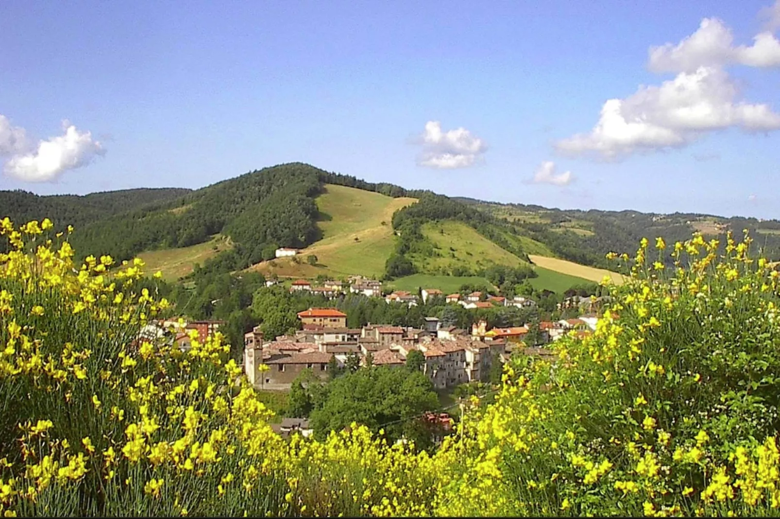 Il Fiordaliso-Gebieden zomer 1km