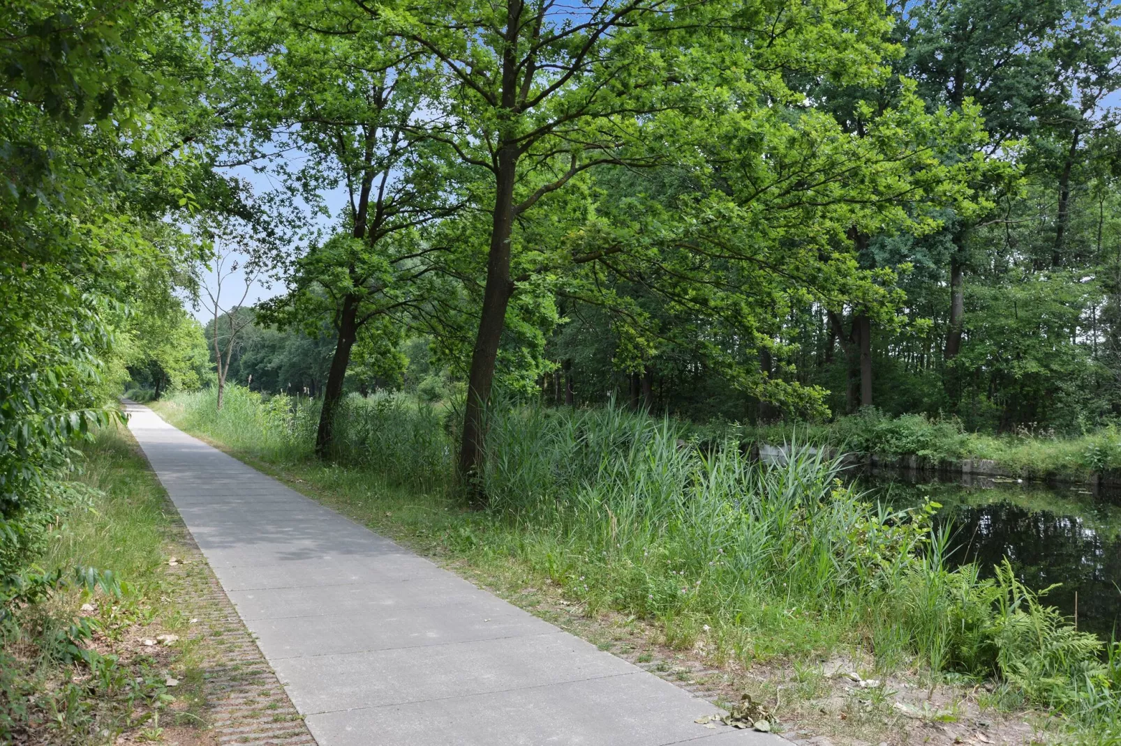 T Kaatsheuveltje Belvilla 5-Gebieden zomer 1km