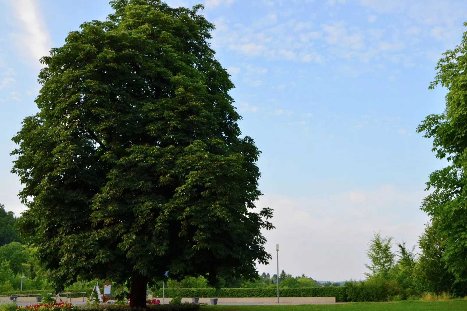 Am Ferienbauernhof - FW 3-Gebieden zomer 5km