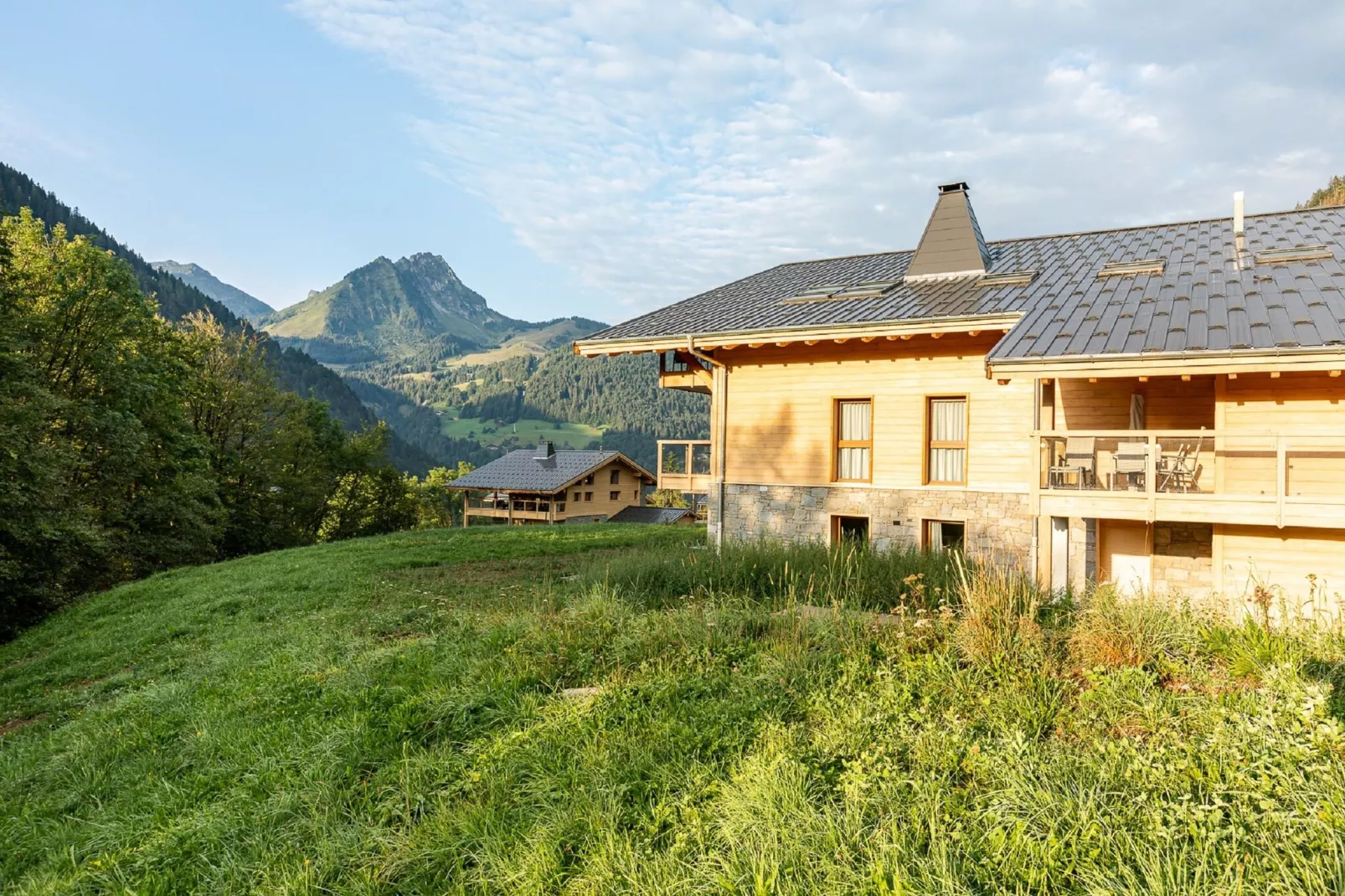 AlpChalets Portes du Soleil 7-Buitenkant zomer