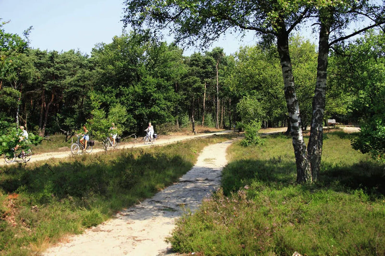 Huisje 84-Gebieden zomer 5km