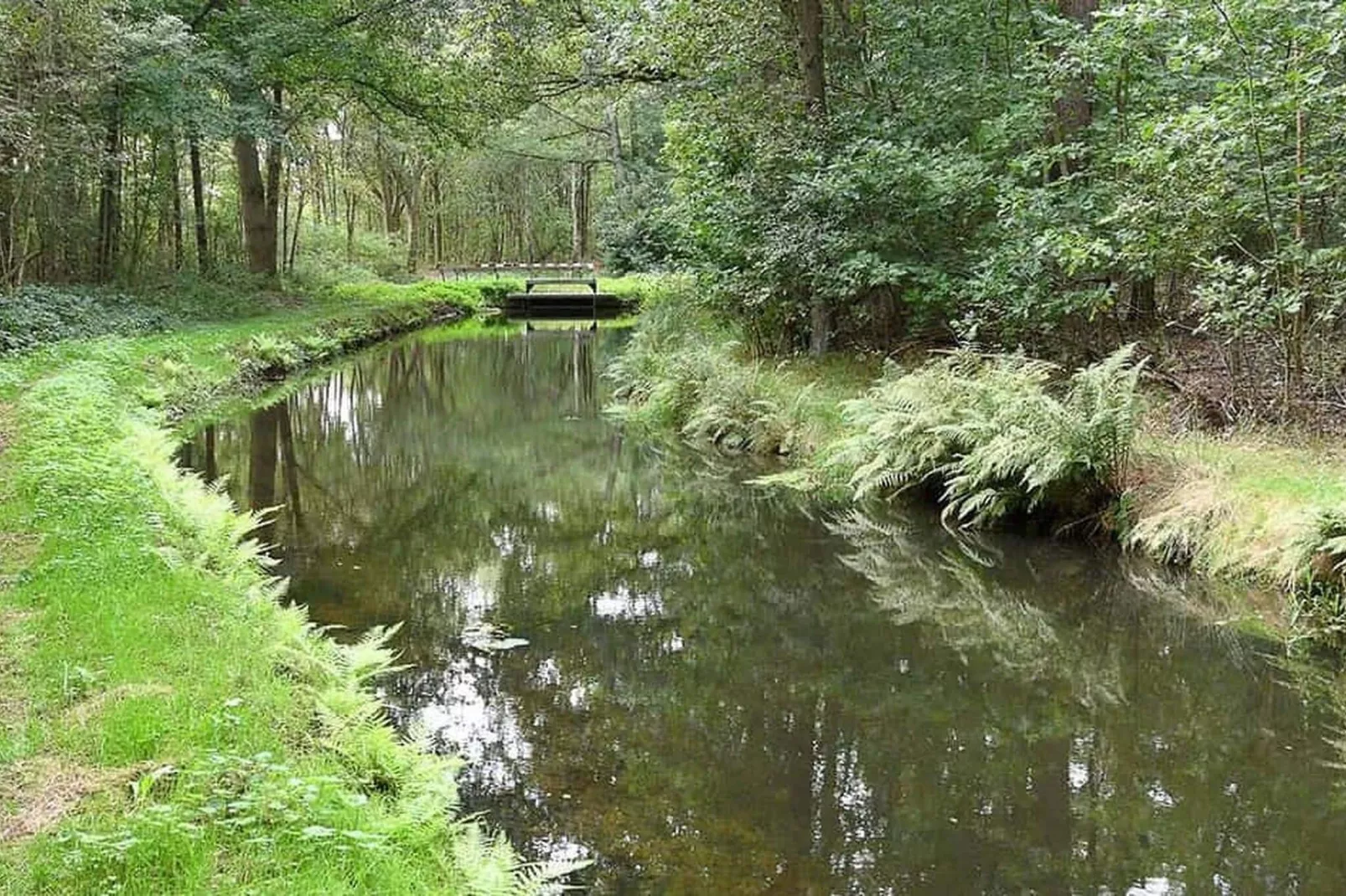 Huisje 84-Gebieden zomer 5km