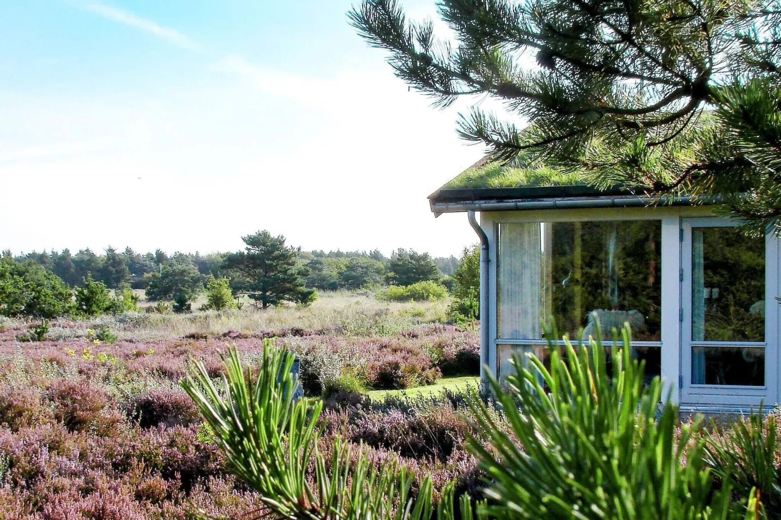 6 persoons vakantie huis in Rømø-By Traum-Buitenlucht