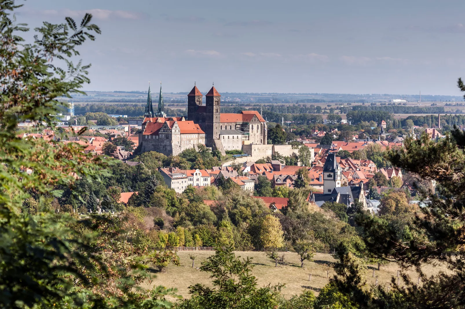 Bodeblick-Gebieden zomer 20km